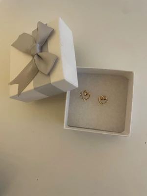 Örhängen  - Jätte fina örhängen ej riktigt guld.