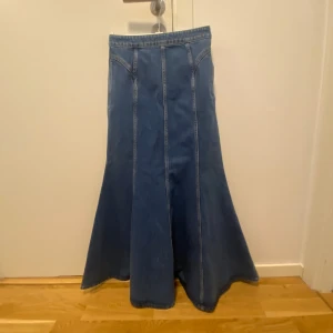 Lång jeanskjol från & Other Stories - Säljer en snygg lång jeanskjol från & Other Stories. Kjolen är blå. Den är utsvängd nertill och tillverkad i klassiskt denimtyg. Perfekt till det mesta!