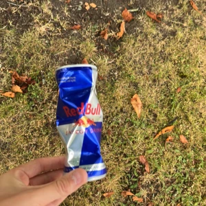 Redbull - Riktigt snygg redbull can