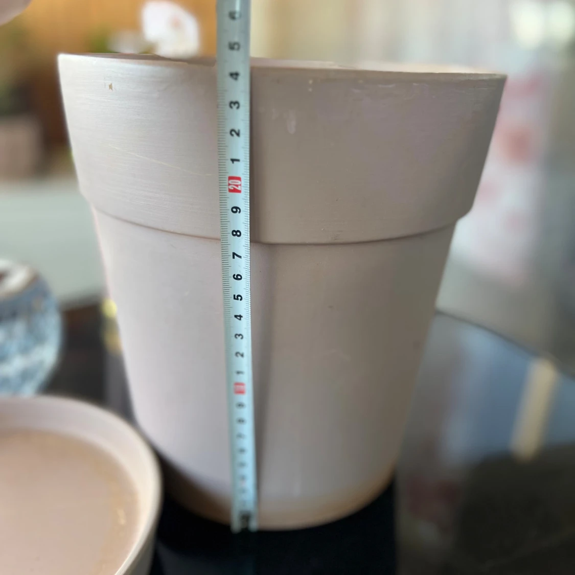 Stor fin Rosa kruka - 2