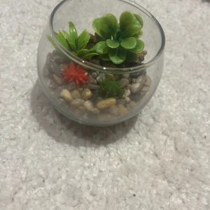 Fejk akvarium  - Bilderna visar en dekorativ glasvas med konstgjorda växter och stenar. Produkten är inte elektronik och innehåller inga synliga elektroniska komponenter, funktioner eller märken. Perfekt som inredningsdetalj, i mycket gott skick utan synligt slitage.