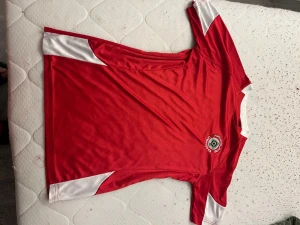Röd Libanon fotbollströja - Röd fotbollströja med vita detaljer och texten 'LEBANON' på ryggen samt ett grönt träd. Tröjan har korta ärmar och är tillverkad i ett lätt och svalt polyestermaterial, perfekt för sport och träning.