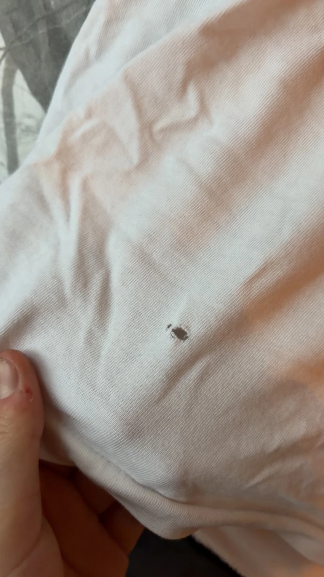 Vit Polo Bear t-shirt från Ralph Lauren - 1