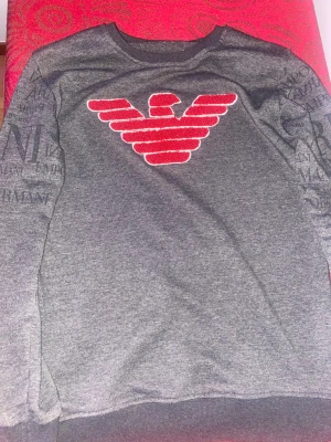 Grå sweatshirt från Emporio Armani - Snygg grå sweatshirt från Emporio Armani med stort rött broderat örnlogo på bröstet och tryckt text på ärmarna. Tröjan har rund hals och långa ärmar, tillverkad i mjuk bomullsmix som är skön mot huden. Perfekt för dig som gillar stilrena designer med en twist.