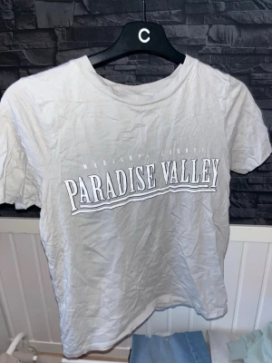 Vit Paradise Valley t-shirt - Säljer en grå t-shirt med trycket 'Paradise Valley' i stora bokstäver framtill. T-shirten har rund halsringning och korta ärmar. Tillverkad i mjuk bomull, perfekt för en chill och avslappnad stil.