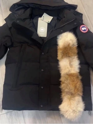 Canada goss S-M - Oanvänd, nyskick pris kan diskuteras. Står S men passar M. Byter mot monckler cardigan och moose bunny tröja.