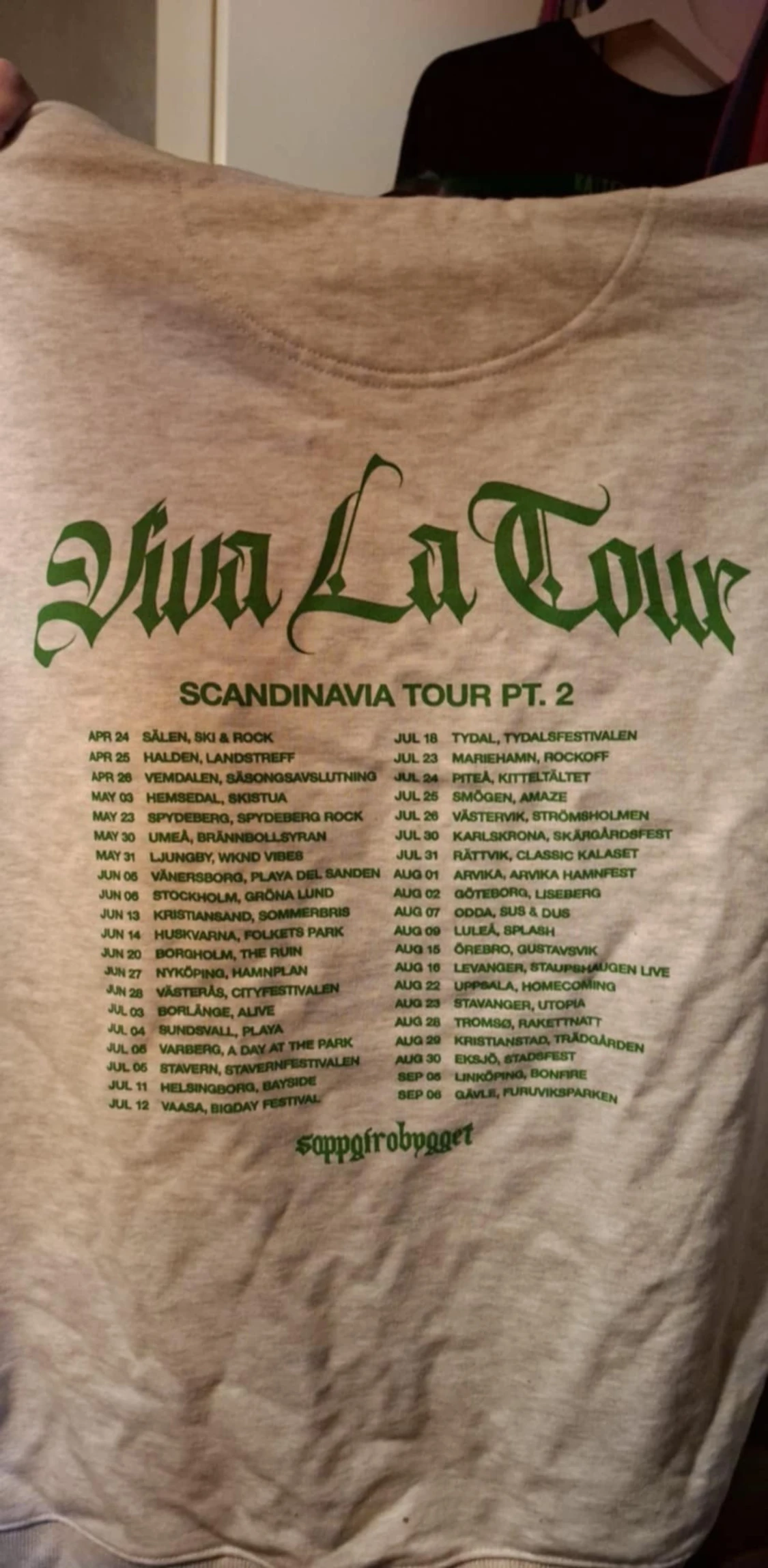 Soppgirobygget grå hoodie - 1