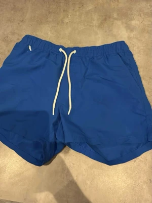 Blåa badshorts från FSBN - Säljer ett par blåa badshorts från FSBN med vit snörning i midjan och meshfoder. Shortsen har elastisk midja, sidofickor och en bakficka med metallöljetter. Perfekta för stranden eller poolen!