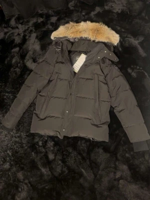 Svart pufferjacka från Canada Goose - Säljer en svart pufferjacka från Canada Goose med avtagbar huva och fet pälskant. Jackan har dragkedja, knappar och två stora fickor framtill. Insidan är fodrad med glansigt material och jackan har ribbade muddar vid ärmsluten. Perfekt för kalla vinterdagar. 