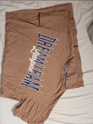 Brun t-shirt med DREAMTEAM-tryck - Säljer en brun t-shirt med stort blått och vitt DREAMTEAM-tryck på bröstet. Oversized passform och rund halsringning. Perfekt för en avslappnad och cool stil.