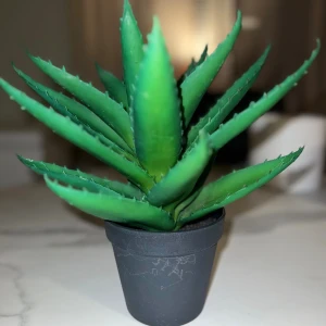 Plastväxt Aloe Vera i svart kruka - Snygg och naturtrogen konstgjord aloe vera-växt i svart plastkruka. Perfekt för hem eller kontor, kräver ingen skötsel. Mindre repor på krukan, annars i gott skick.