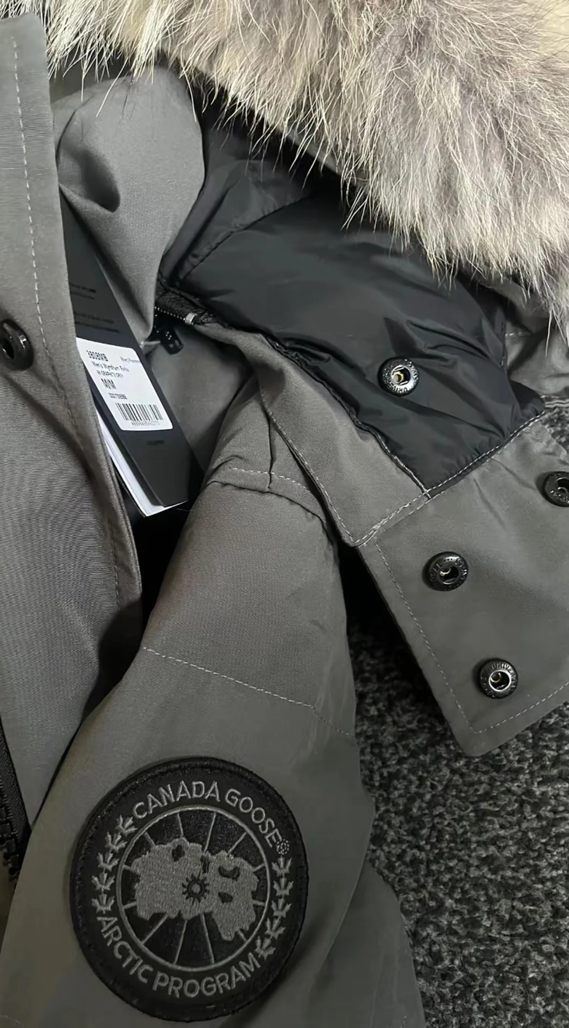 Grå dunjacka Canada Goose - 1