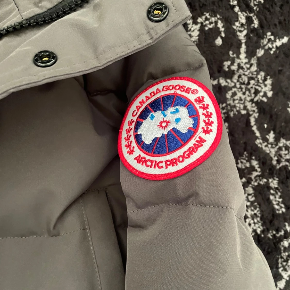  Canada Goose  - 1