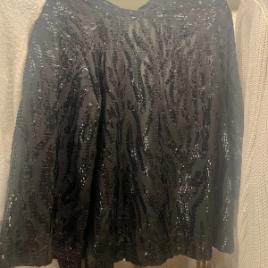 Svart glittrig zebramönstrad blus - Säljer en svart blus med glittrigt zebramönster i paljetter. blusen har en lätt utsvängd form och är perfekt för dig som vill sticka ut med en cool och trendig look. Materialet känns mjukt och följsamt mot kroppen.