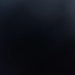 Ralph lauren skjorta  - Strl 14-16