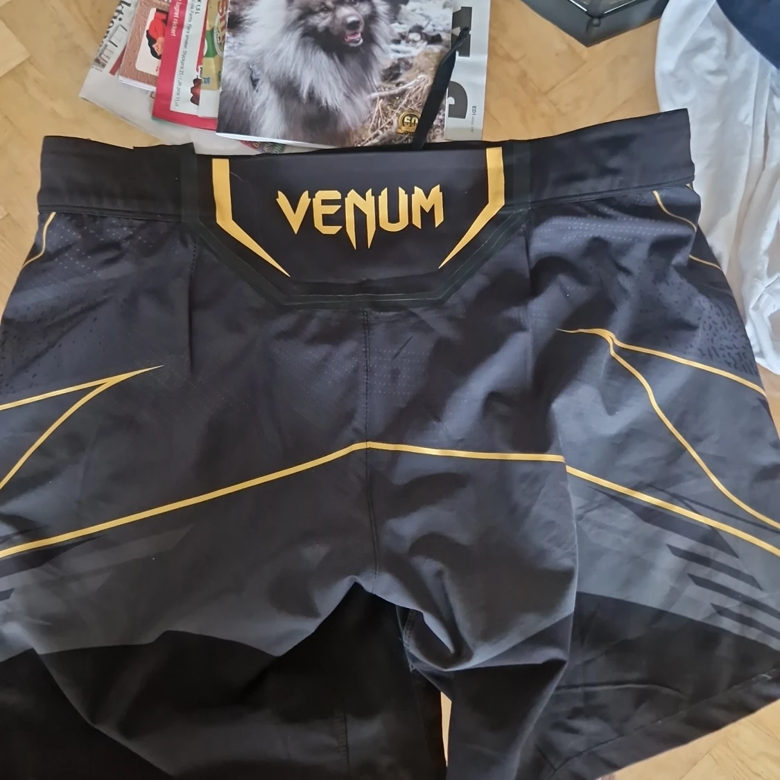 Venum guld/svarta tränings shorts - 2