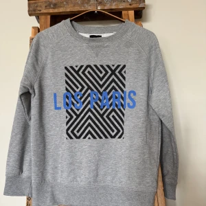 Grå sweatshirt med grafiskt tryck - Grå sweatshirt med och texten 'LOS PARIS' på bröstet. 