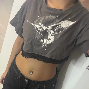 Grå croppad topp med fågeltryck - Säljer en grå croppad topp med ett stort vitt fågeltryck framtill och coolt månmotiv i bakgrunden. Toppen har korta ärmar och svart spetskant längst ner för extra edge. Perfekt för dig som gillar streetstyle och unika detaljer.