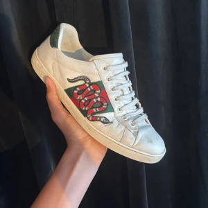 Gucci Ace sneakers - Gucci🙌