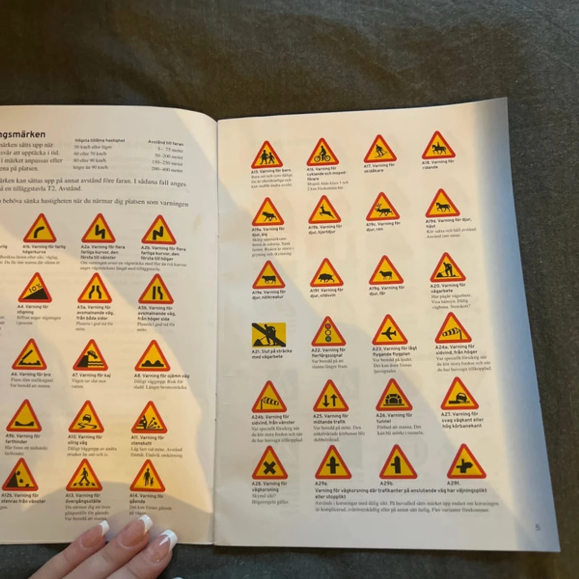 Vägmärken & vägmarkeringar - 2