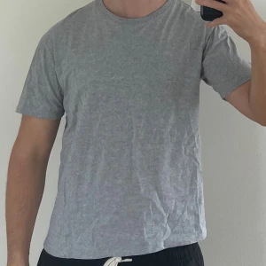 T-shirt - Grå t-shirt. Storlek S.