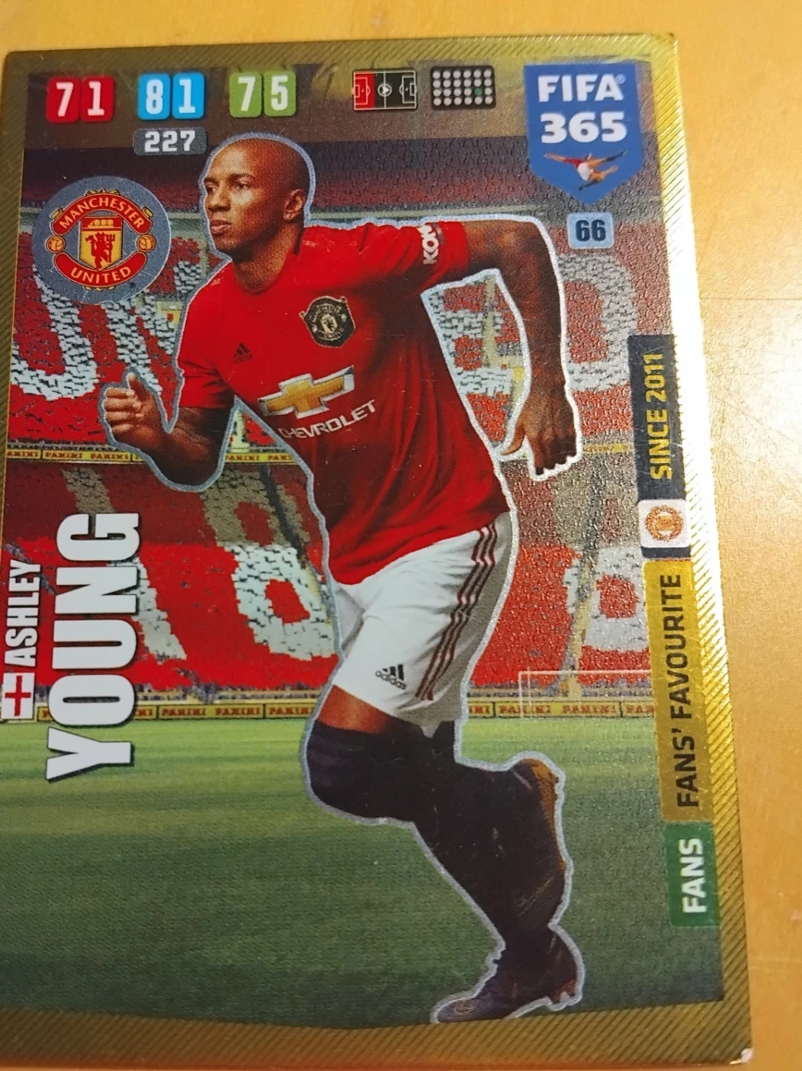 FIFA 365 Manchester United samlarkort