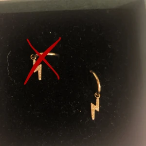 Blixt örhänge Edblad  - Edblad örhänge. Tappade bort ena så säljer bara en.  Använd max 2 gånger, Nyskick🩷  Nypris: 300kr (299) Säljer för 80kr🩷