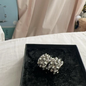 Edblad örhängen - Säljer dessa silvriga så snygga edblad örhängen i den större modellen, köptes inför en kväll och har en används mer efter det varav är skicket 10/10, nypris 449 