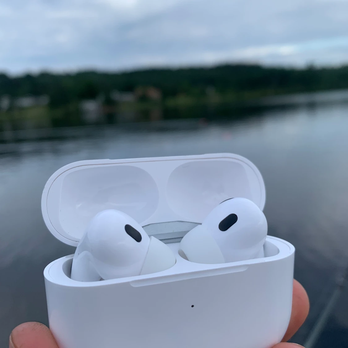 Kontakta för frågor