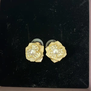 örhängen - fina örhängen knappt använt😊