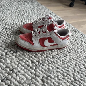 Skor - Säljer mina Nike dunk. Fick dem på dropp i Stockholm. Kond 7/10