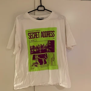 Snygg tshirt från Zara😊 - Bra skick på trycket och T-shirten i helhet