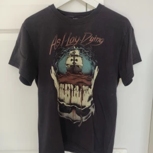 Cool tshirt  - Riktigt cool tshirt från fruit of the loom. Lite sliten men det tycker jag passar såna här tröjor! Storlek M