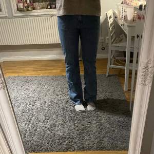 Vinbok jeans i modellen low straight. 