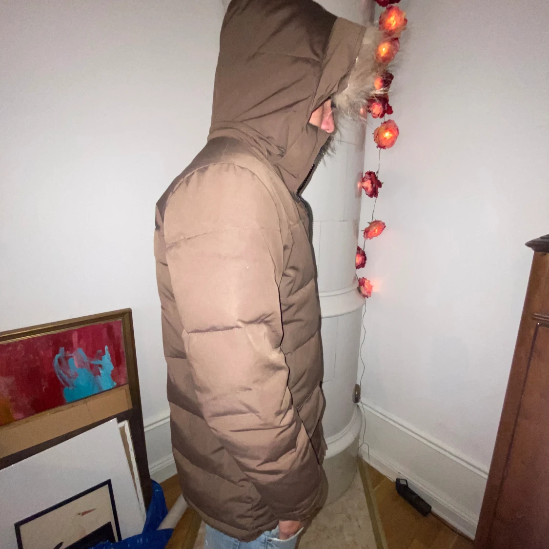 Canada goose - 91