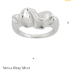 EDBLAD ring  - Säljer min ring från Edblad storlek M. Nypris 1000kr säljer för 600kr 🩷🌟 skriv för fler bilder!