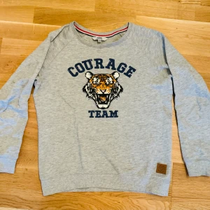 Grå tröja med tigerhuvud - En grå tröja med tiger huvud. Bra skick använd några gånger. För mer information och bilder kontakta mig. 