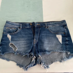 Korta shorts  - Bra skick använd en gång, köparen står för frakt 