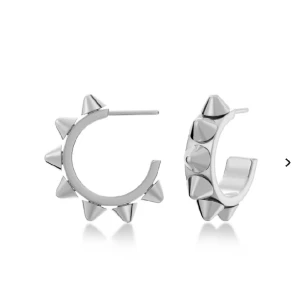 Edblad örhängen - Super fina nit örhängen från Edblad! Man får med Edblad lådan med! Dom är använda med i fint skick. Rengörs självklart innan dom skickas!💓skriv vid frågor