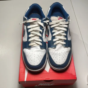 Nike Dunk Low Retro - Säljer Nike Dunk Low Valerian Blue som är köpta från Nike.com (bevis finns). Storlek: 46 EUR 12 US   De är använda och har någon skada på de inre sidorna av skorna.  Inga hål eller stora skador! 