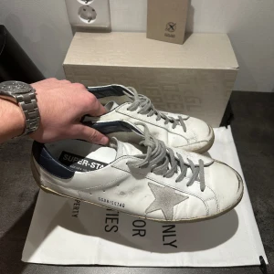 Golden goose  - Golden goose 