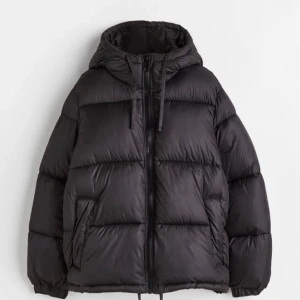 Vinterjacka från H&M - Säljer denna vinterjackan från H&M.