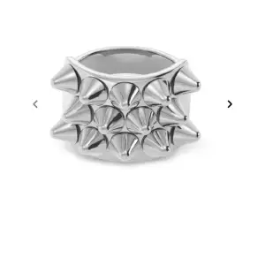 Silver ring med nitar Från Edblad Köpte för 399kr Den är som ny Priset kan diskuteras  