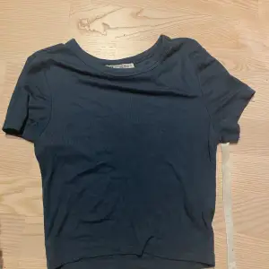 Kort figurnära t-shirt från Zara Färg är mer som på andra bilden