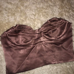 Korsett topp - Korsett topp från Zara strl L. Dold dragkedja på sidan. Ny med prislapp kvar.