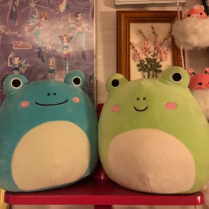 Squishmallows grodor  - Kan säljas separat  Wendy -från usa 250kr Robert 175kr (saknar lappar)