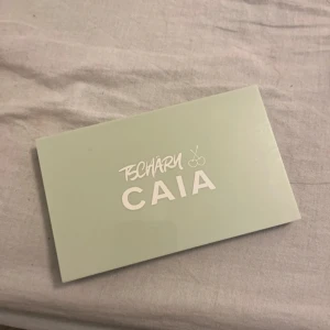 Caia palett - 200 kr