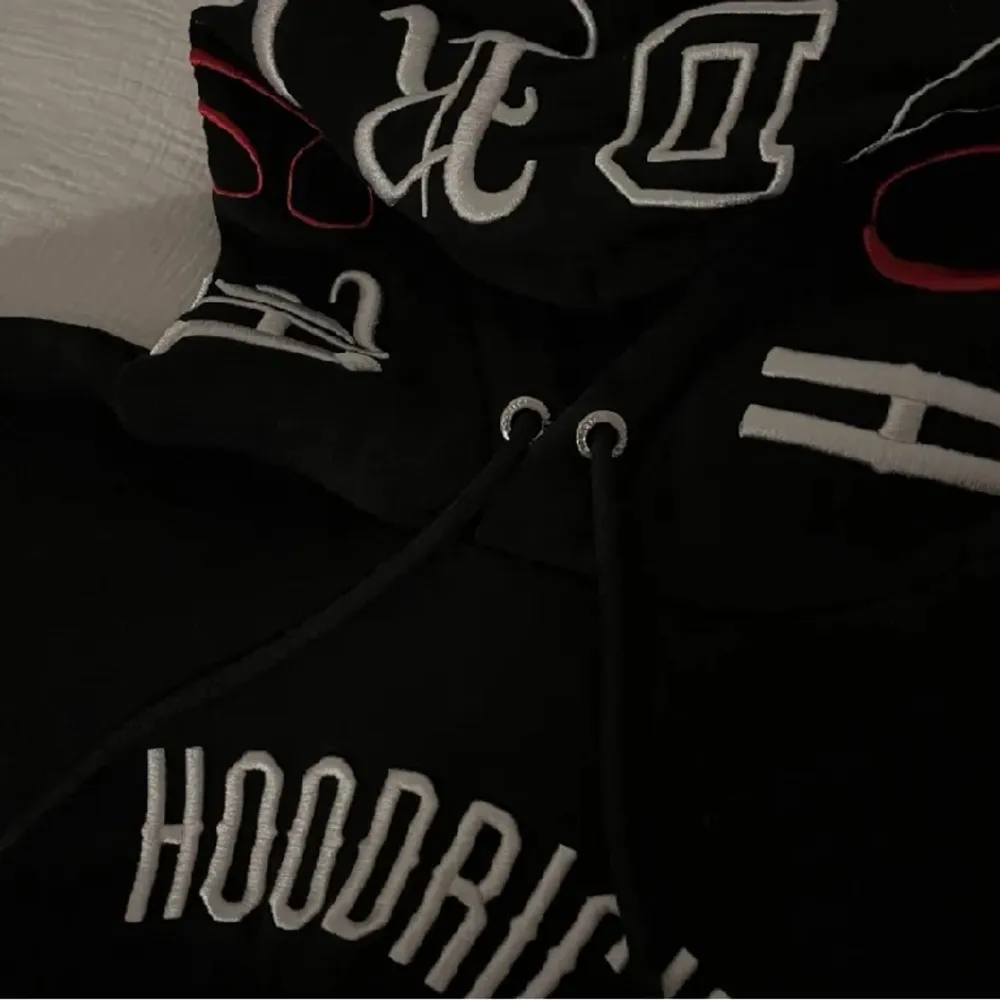 Otroligt fin hoodie köpt för 800kr och är i otroligt bra skick🫶🏼. Hoodies.