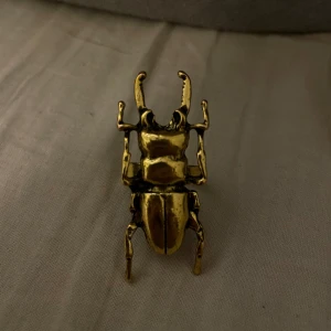 Baggering - Jättefin skalbagge ring, säljer pga dålig användning