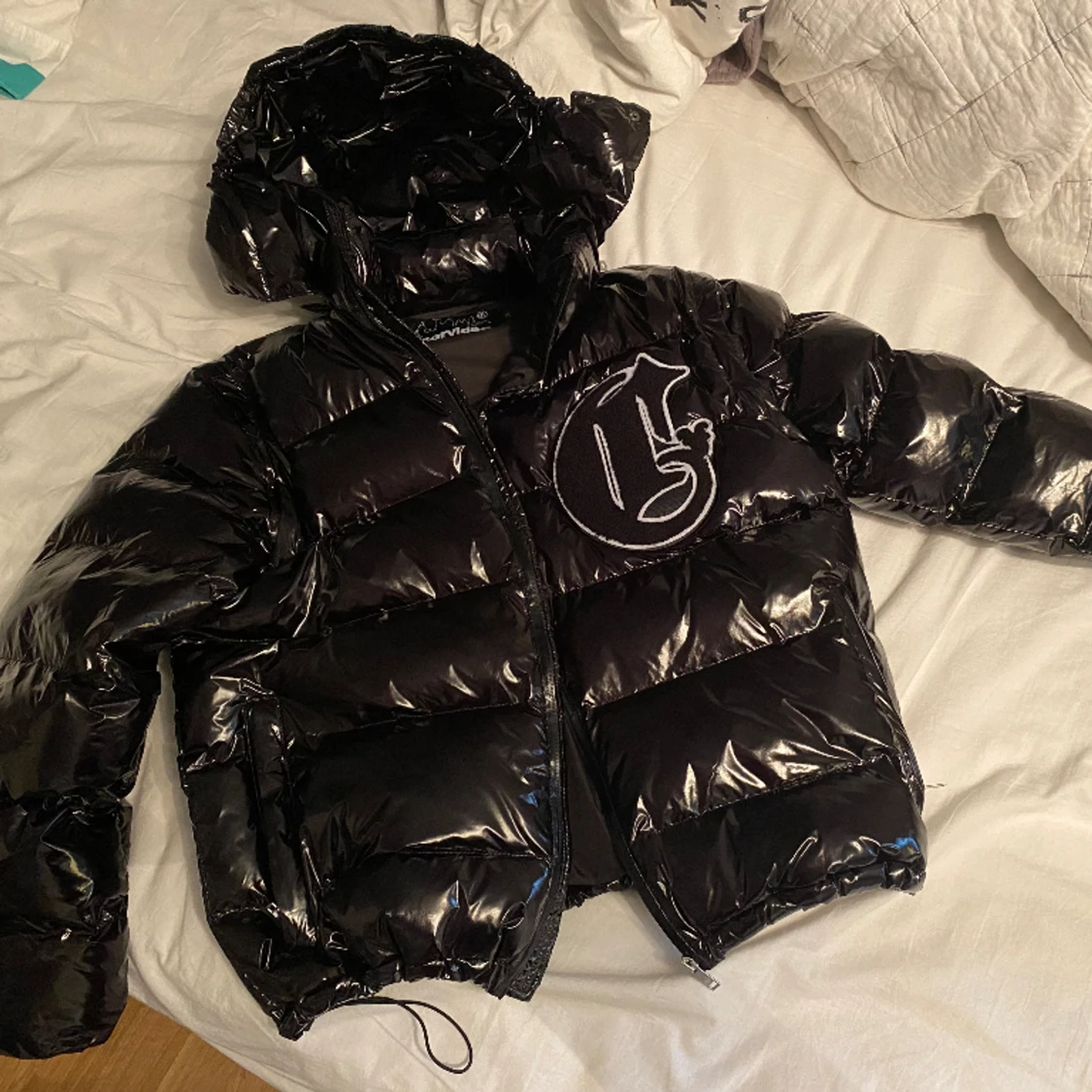 Corvidae v2 Shiny Jacka